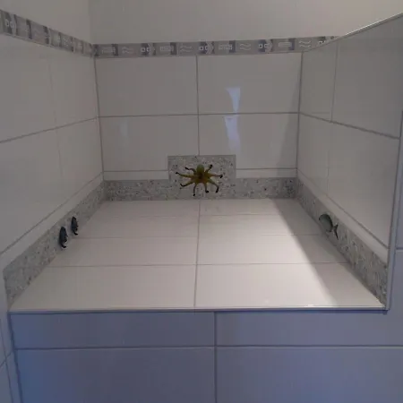 Haus Goldbutt _ M_ Frese